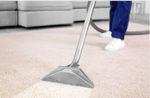 carpet cleaning Adelaide process