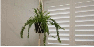 plantation shutters