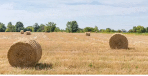 synthetic baling twine