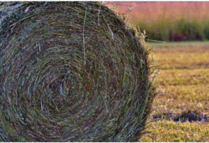 net replacement film bulk